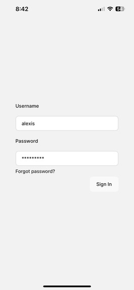 Braindex – screenshot 2