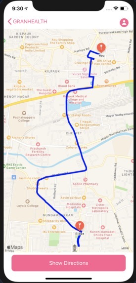 Granny Health – screenshot 4