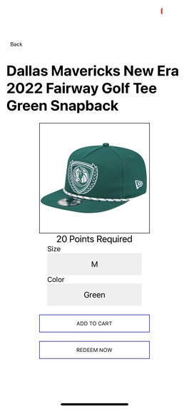 Dunk Dynasty – screenshot 10