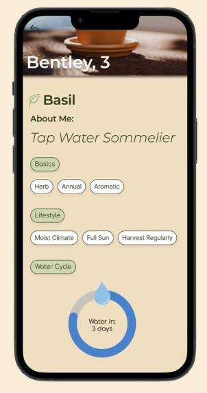 baesil – screenshot 7