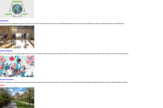 Website of French social-economic, culture