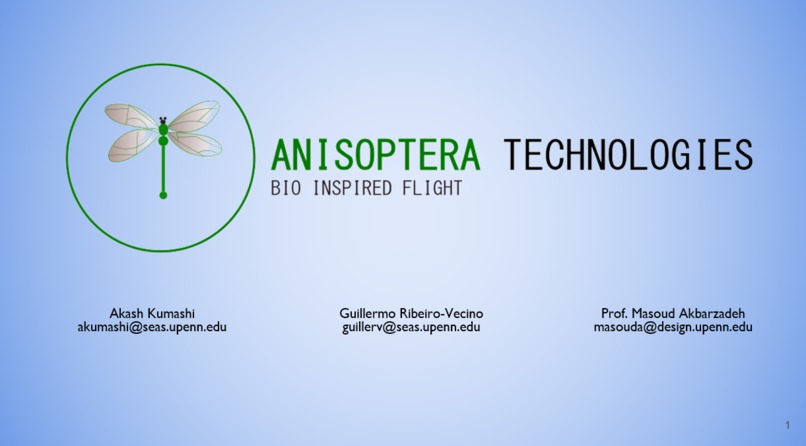 Anisoptera Technologies – screenshot 1
