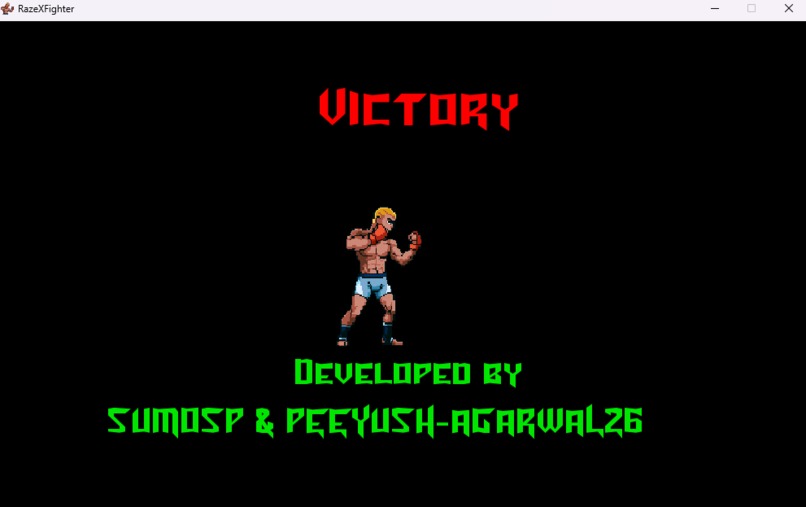 RazeXFighter – screenshot 3