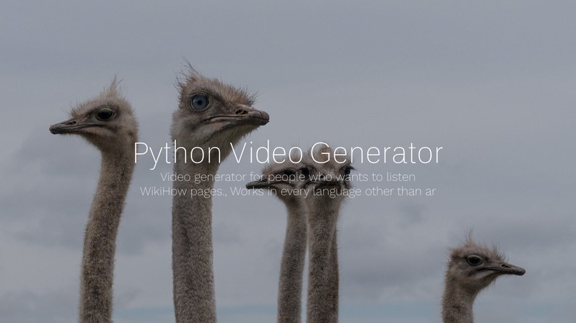 Wikihow Video Generator – screenshot 1