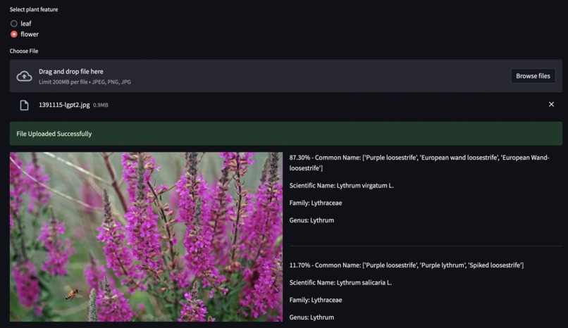 FloraExplorer – screenshot 3
