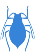 500 and Happy – screenshot 1