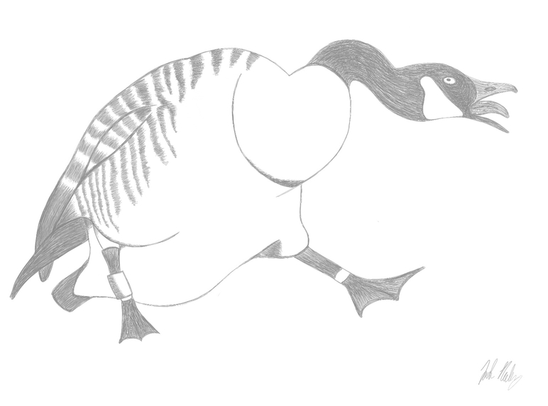 HONK 3.0 – screenshot 1