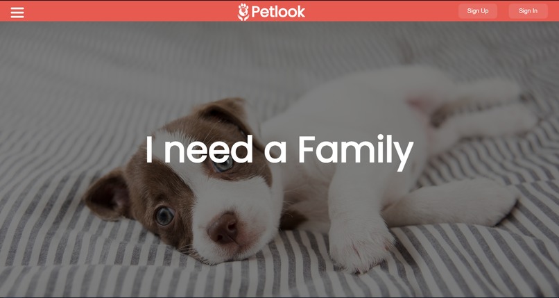 PetLook – screenshot 1