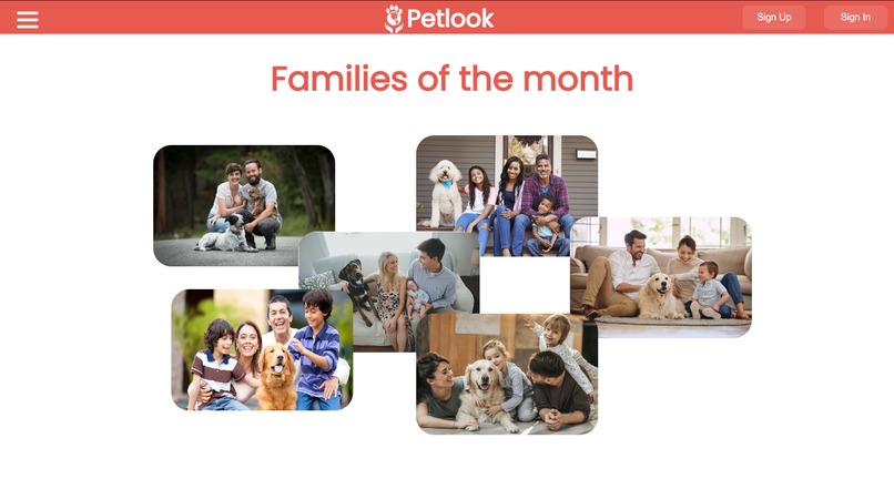PetLook – screenshot 2