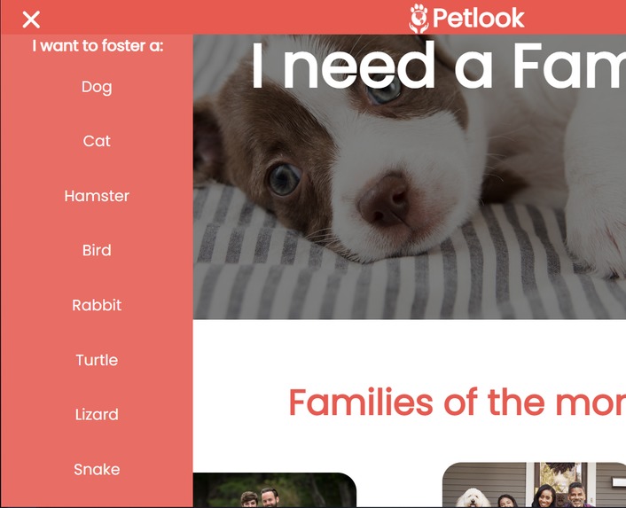 PetLook – screenshot 3