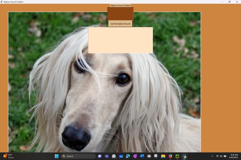 Afghan Hound Chatbot – screenshot 1