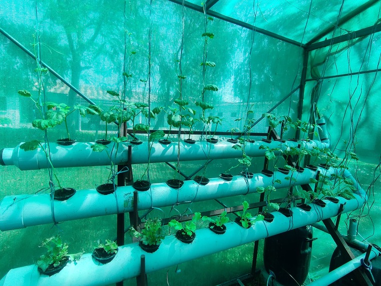 Nano nutrients – screenshot 1