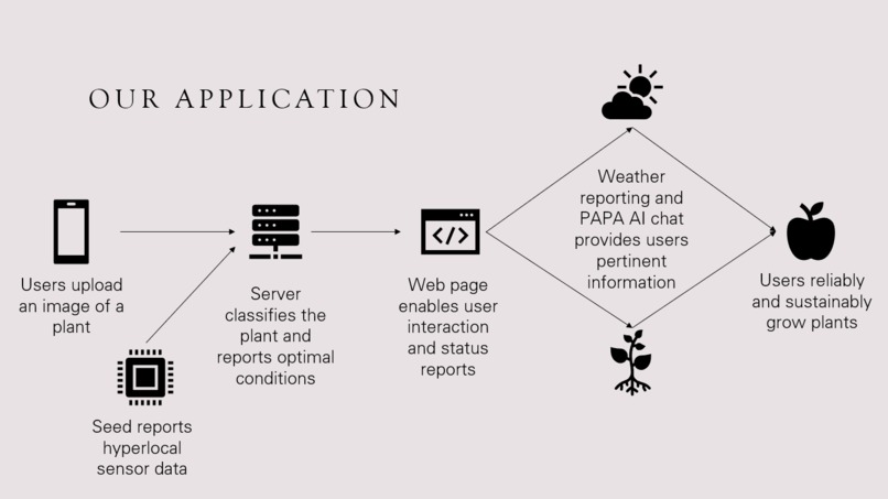 PAPA – screenshot 2