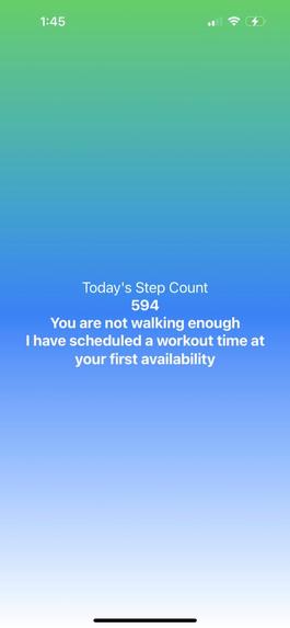 WalkWise – screenshot 4