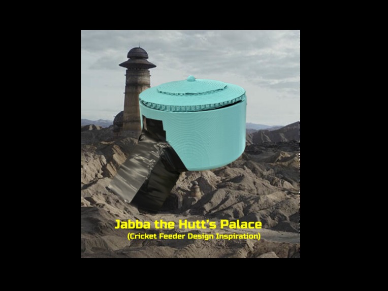 Jabba Feeder (Hungry Hungry Chameleon) – screenshot 8