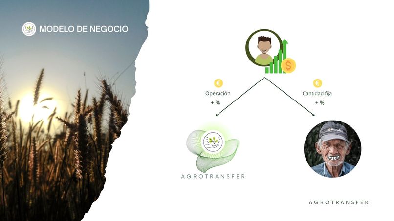 Agrotransfer – screenshot 12