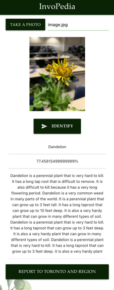 InvoPedia – screenshot 1