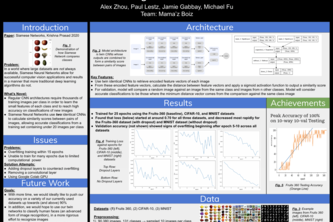 One-Shot Learning with Siamese Neural Networks