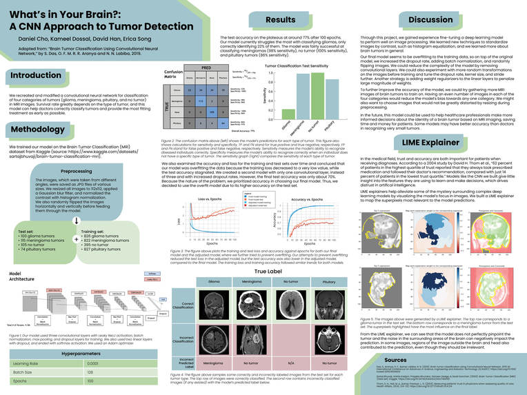 Brain Tumor imaging – screenshot 1