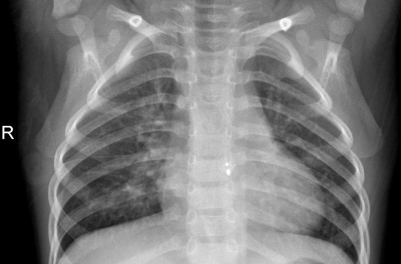image diagnostic tool – screenshot 1