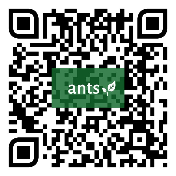 ANTS - A Movement Against Pollution – screenshot 7