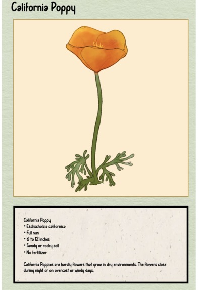 Cal-Plantly – screenshot 1