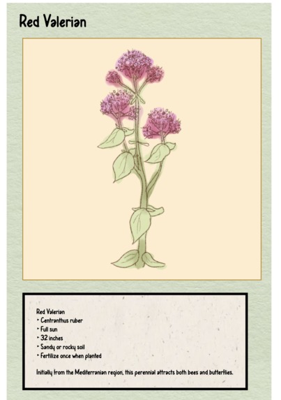 Cal-Plantly – screenshot 3