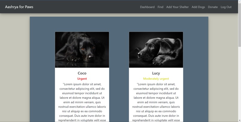 Aashrya for Paws – screenshot 10
