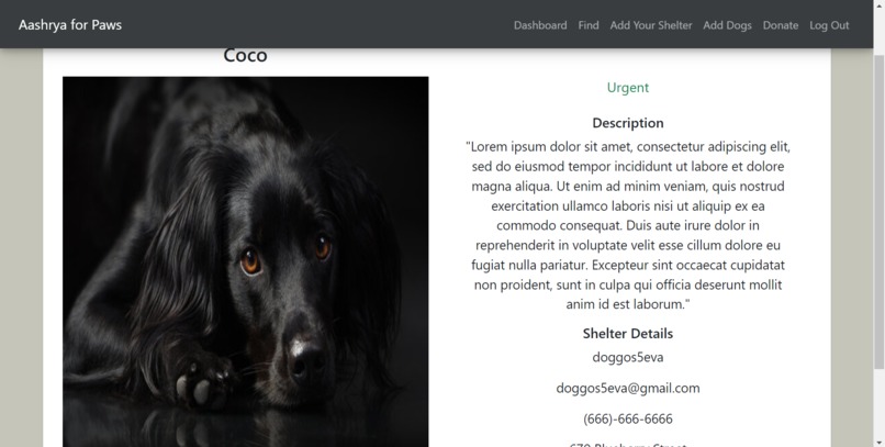 Aashrya for Paws – screenshot 11