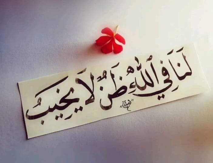 muslimlife.com – screenshot 9