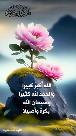 muslimlife.com – screenshot 4