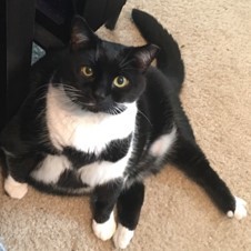 Test Project Please Ignore – screenshot 1