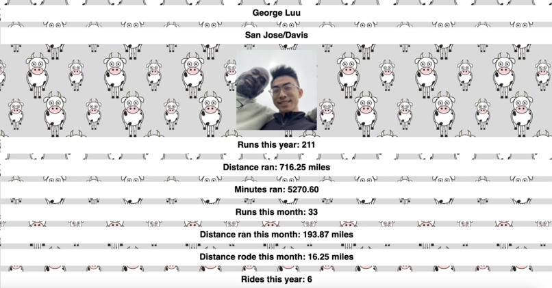 Strava Wrapped – screenshot 3