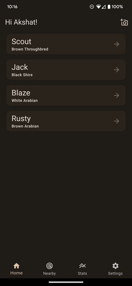 Horse Catcher – screenshot 1