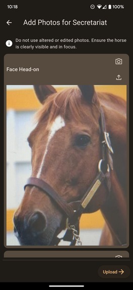 Horse Catcher – screenshot 4