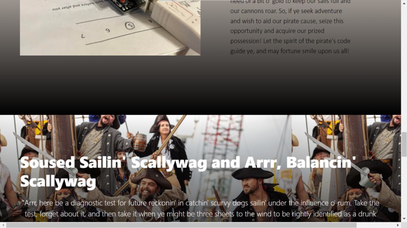 Scallywag Spotter – screenshot 4