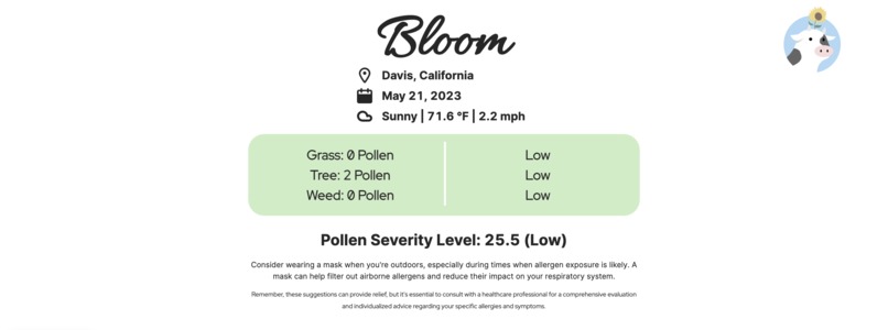 Bloom – screenshot 1