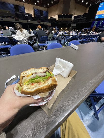 burgr+icerem – screenshot 1