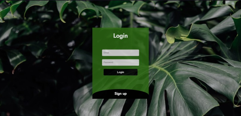 Roots For Renewal – screenshot 4