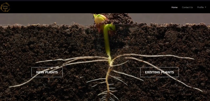 Roots For Renewal – screenshot 5