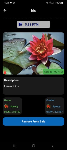 FTM NFT Marketplace – screenshot 3