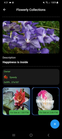 FTM NFT Marketplace – screenshot 4
