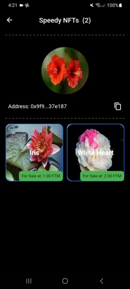 FTM NFT Marketplace – screenshot 5