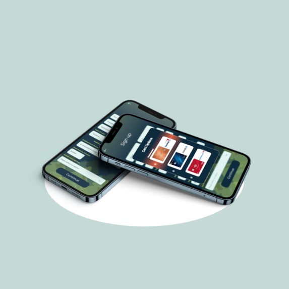 Pay Green – screenshot 4