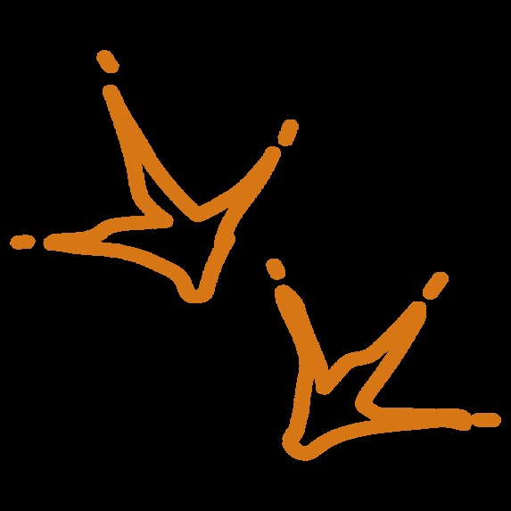 Trek Check – screenshot 5