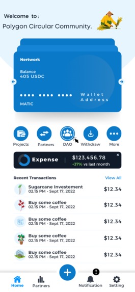 Polygon Circular Community – screenshot 25