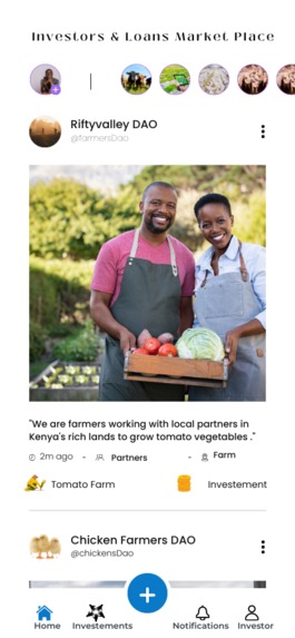 Polygon Circular Community – screenshot 21