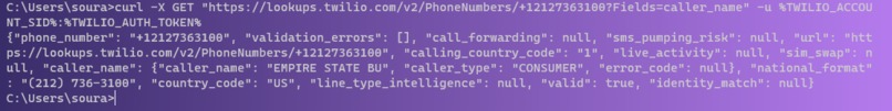 Twillio_Number_LookUp – screenshot 1