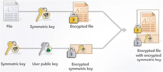 Encryption Decryption – screenshot 1