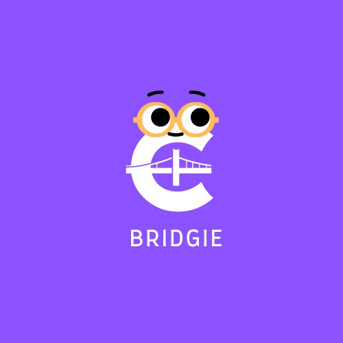 CCBridge – screenshot 2